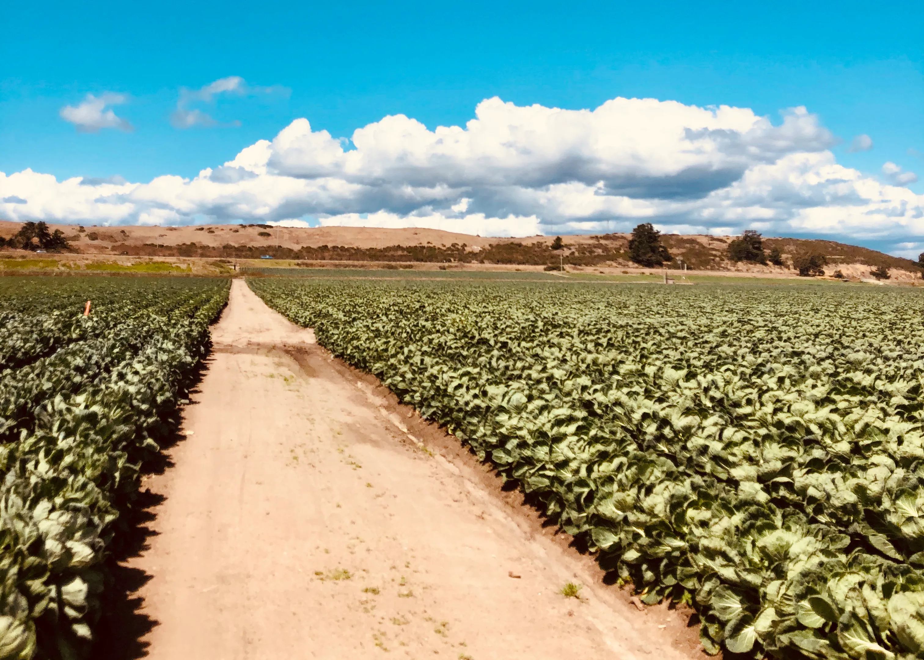 Private tour location in Santa Cruz