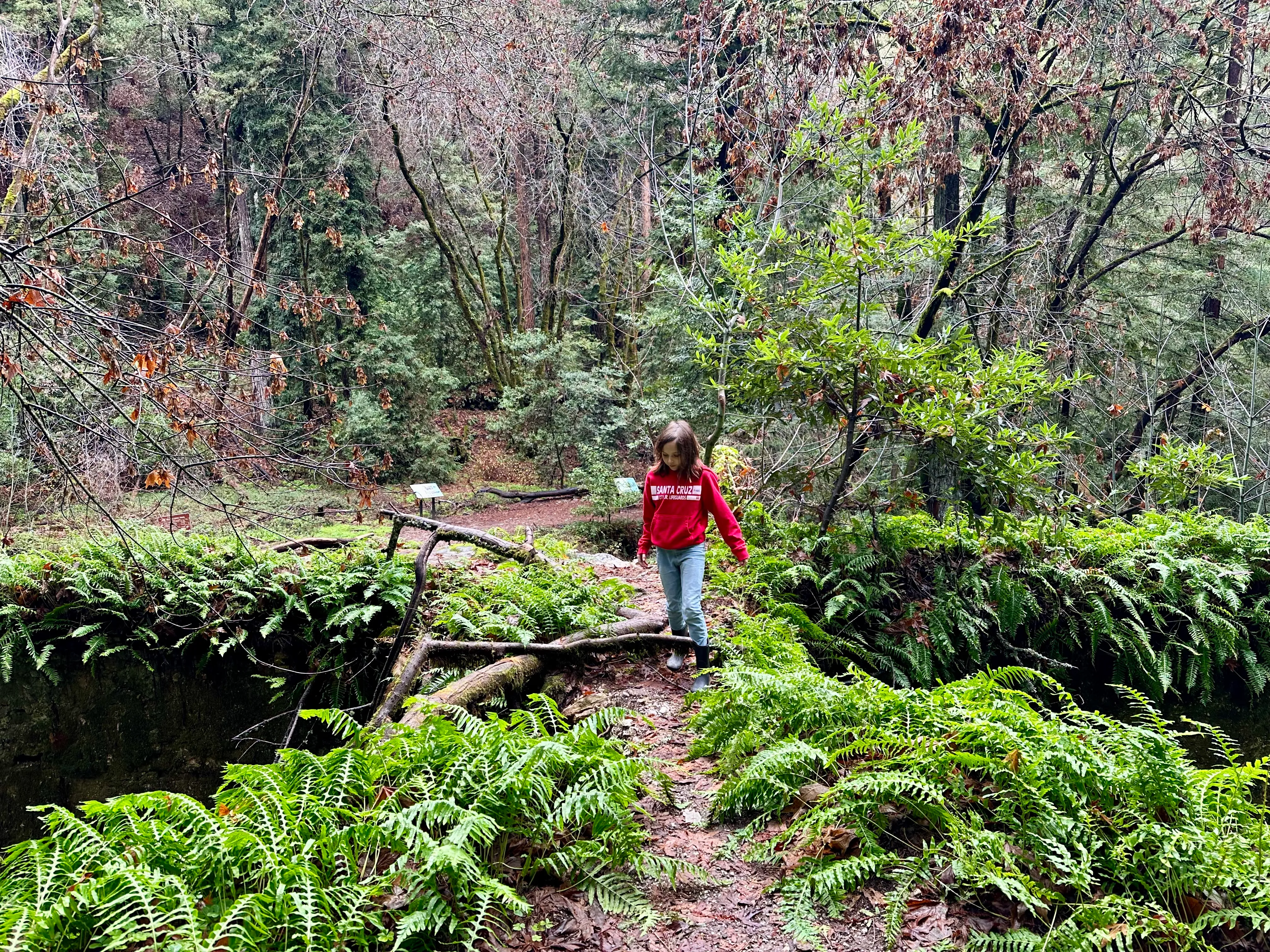Scenic Santa Cruz view