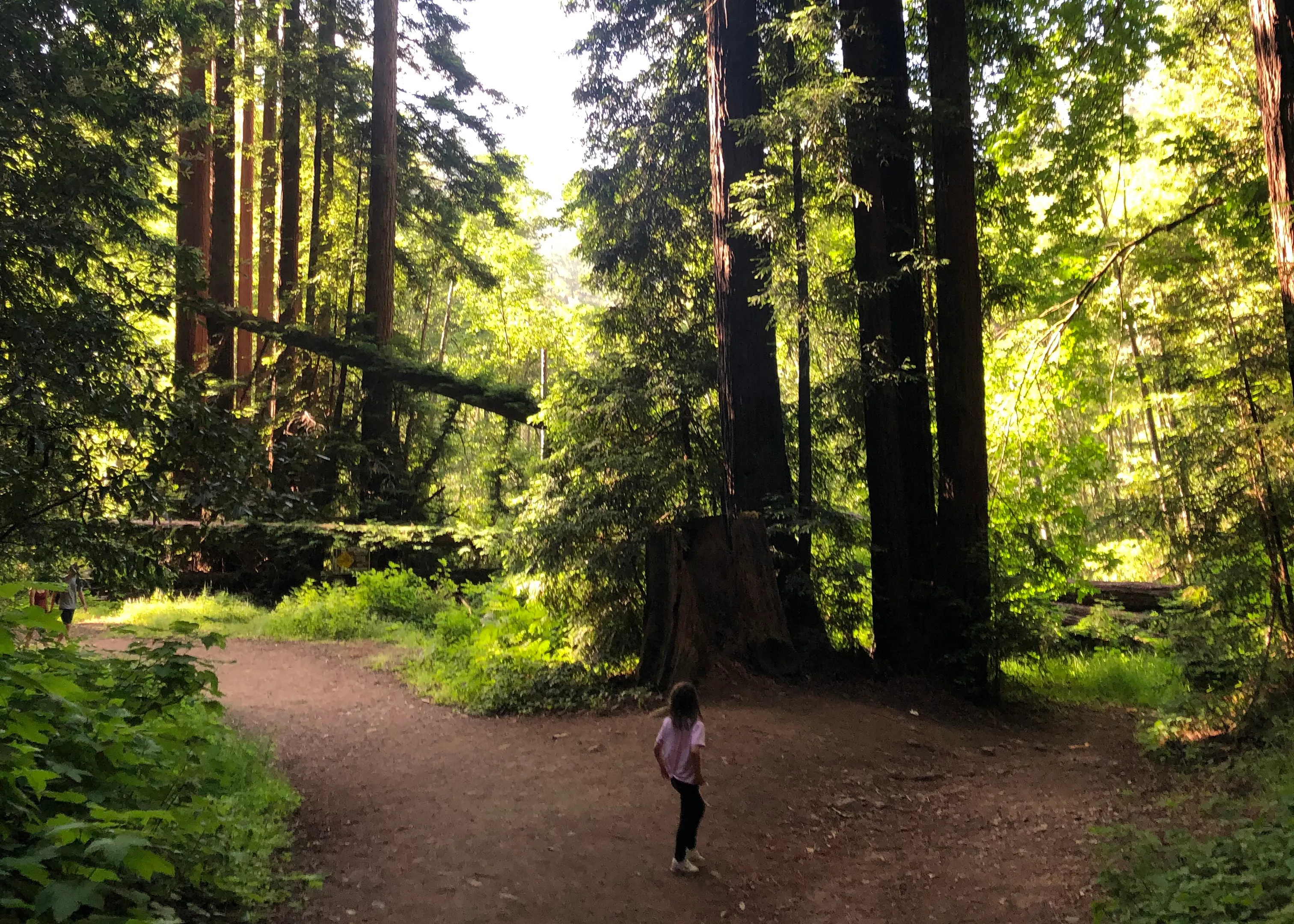 Santa Cruz exploration