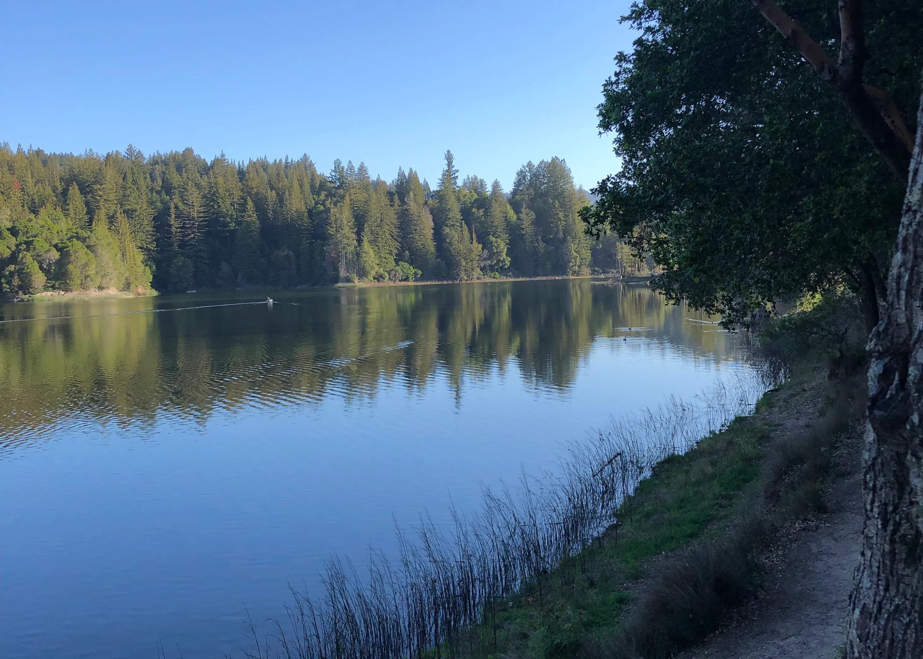 Beautiful Santa Cruz coastline